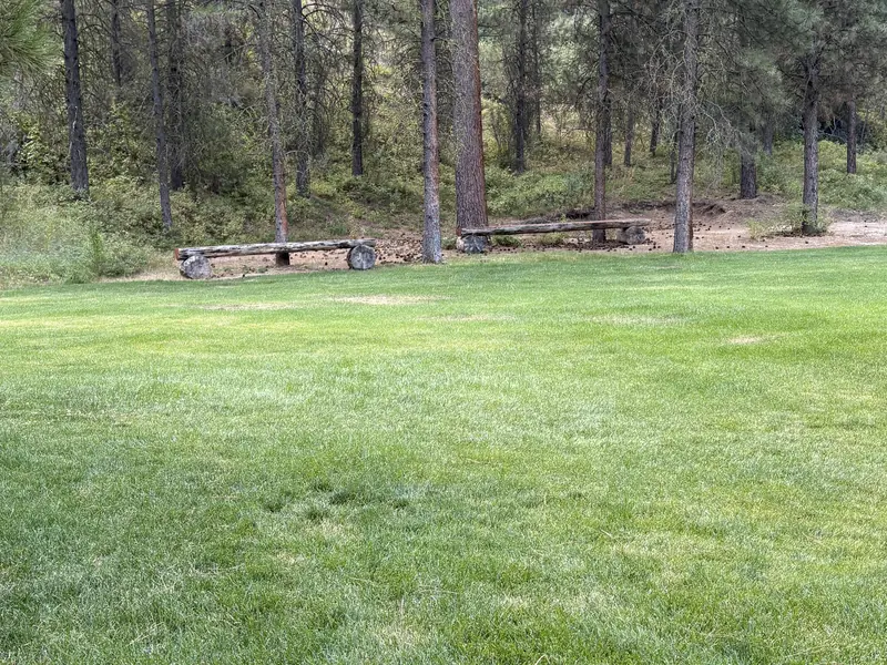 The wide mown event lawn running back to a rail fence and the treeline.